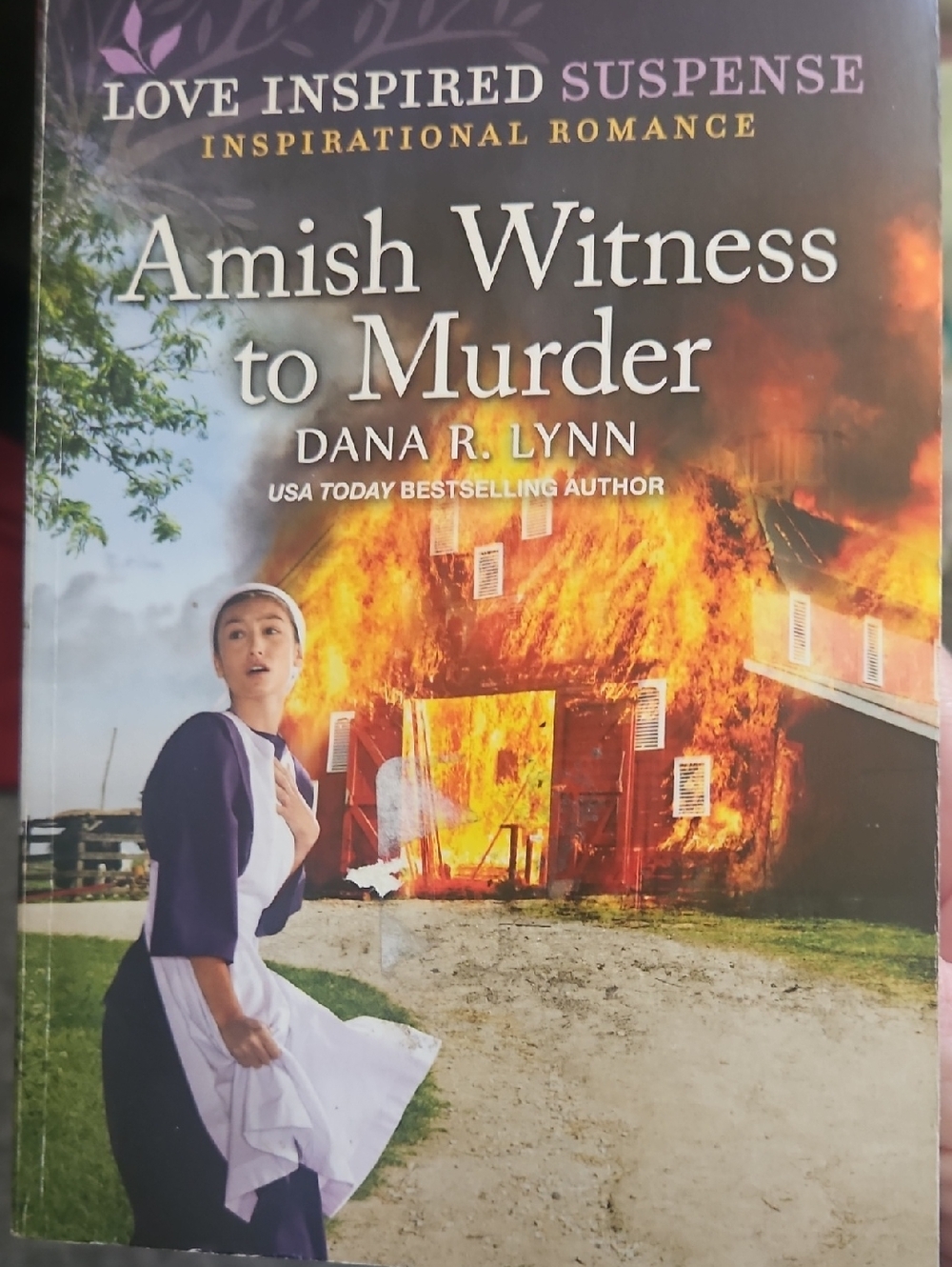 Amish Witness to Murder by Dana R. Lynn -  Buy 1 Book Listing, Get 1 Free